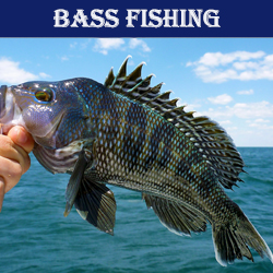 Fishing for Bass