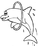 Dolphin Colouring Page