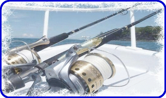 SHIMANO POISON ADRENA SPINNING (Rods-Freshwater)